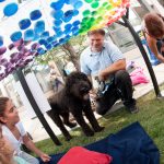Parking day in Hartford, 2013. Photo by grhartfordarts on Flickr.